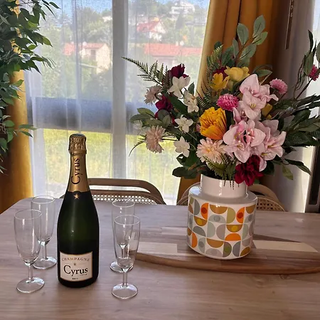 Les 3 Volcans 4 Etoiles Apartment *