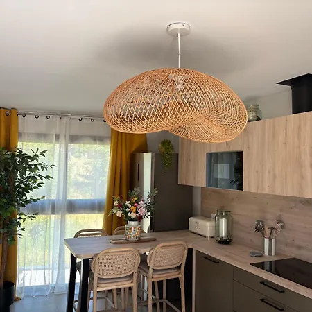 Residence Les 3 Volcans-4 Etoiles-T2 Et Studio-Chic Clim Parkings Terrasses Jardins * Κλερμόν Φεράν